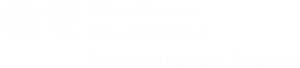 Blue Cross Blue Shield Federal Employee Program logo